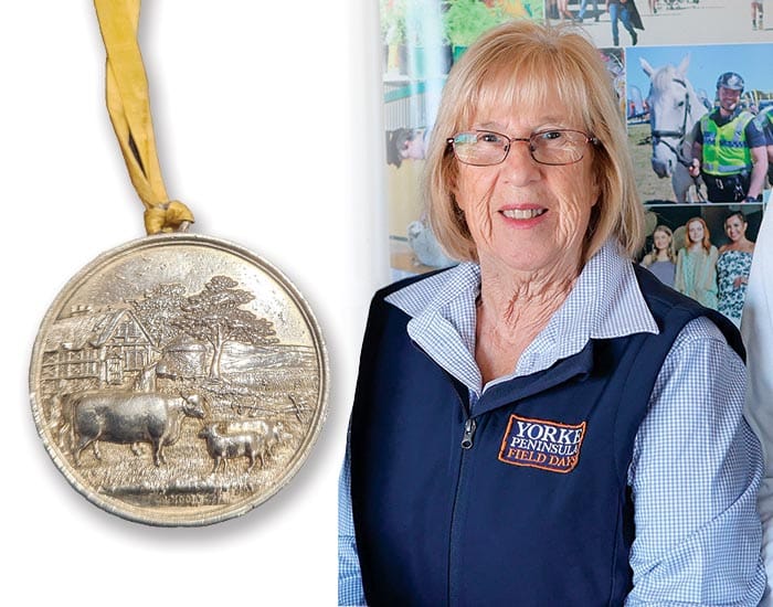 Risen from the ashes post image