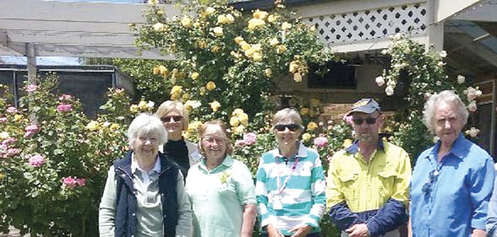 Roses in focus at Maitland post image