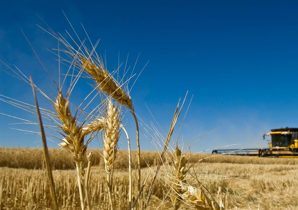 Food, wine and agribusiness to target $23 billion by 2030 post image