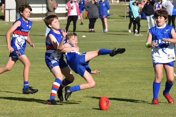 YPFL: The Roos jump into 2024 with a win post image