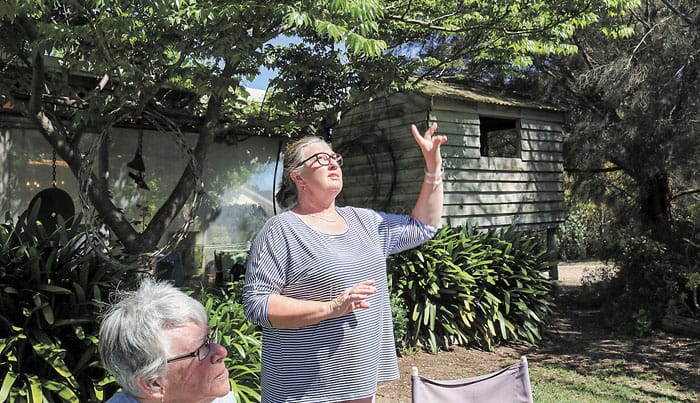 Warooka Garden Club members busy in 2021 post image