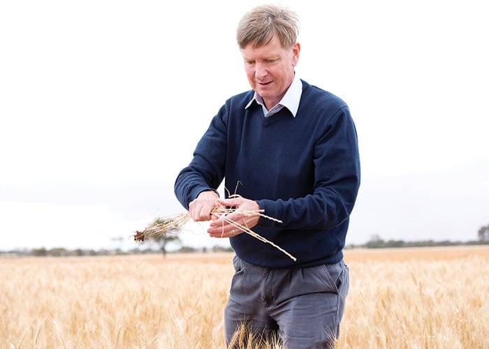 Trial of mix and rotate to tackle resistance post image