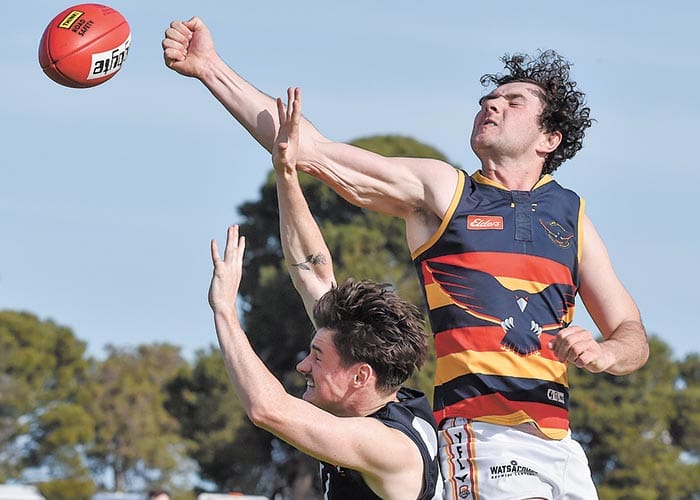 YPFL A grade... Cougars crush Crows’ season post image