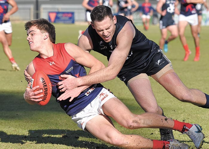 Tippy’s Mail Medal preview post image