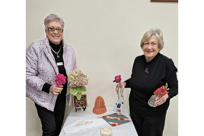 SACWA fun and friendship post image