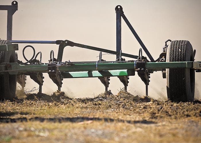 Profit levers key to tackling sandy soils post image