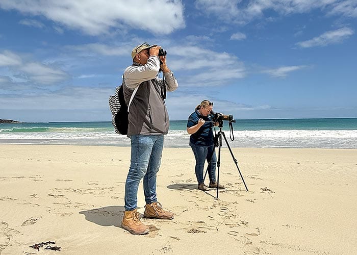 Biennial beach bird count post image