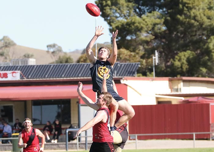 NAFA... Eagles cling on in finals preview post image