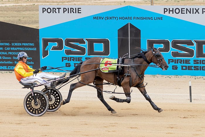Harness racing post image