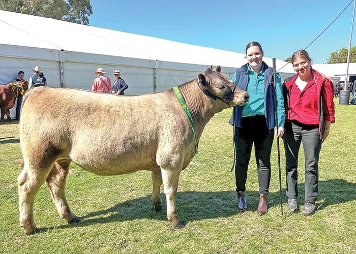 Local schools shine at Royal Adelaide Show post image