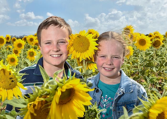 Sunny days post image