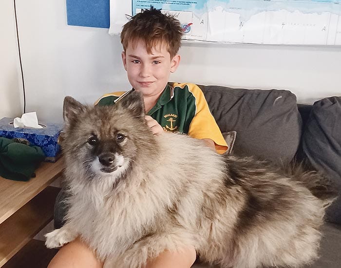 Pink promoted to Wallaroo Primary’s Wellbeing Dog post image