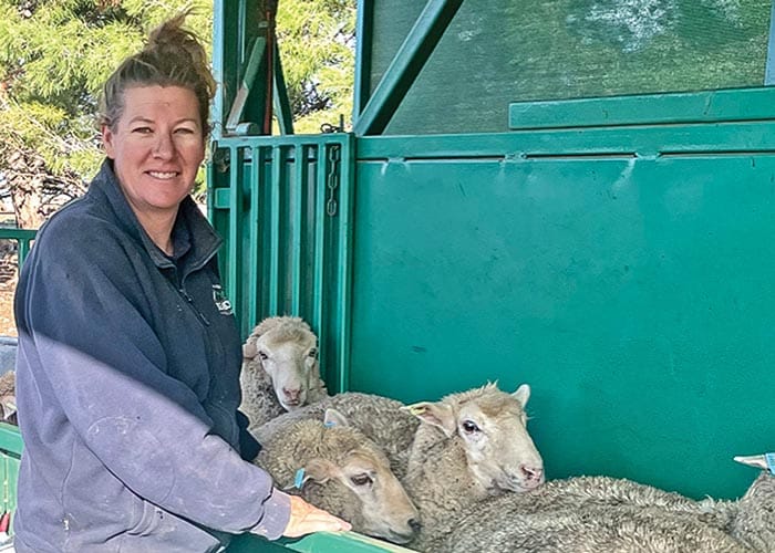 Push to create an ag-tractive local show experience post image