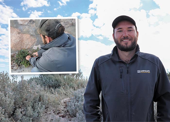 Push for native plants post image