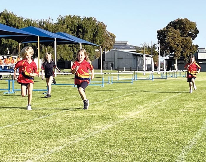 NYP Little Athletics post image