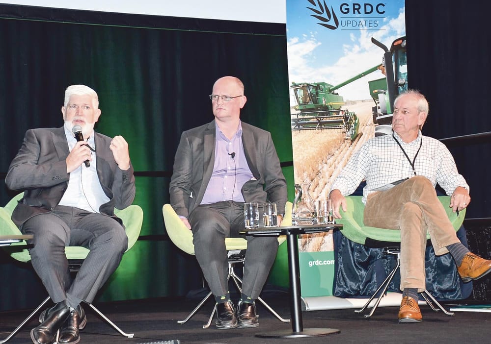 SA grains industry in good shape post image