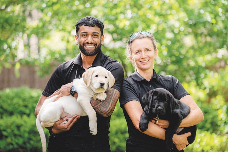 Plea for puppy raisers post image