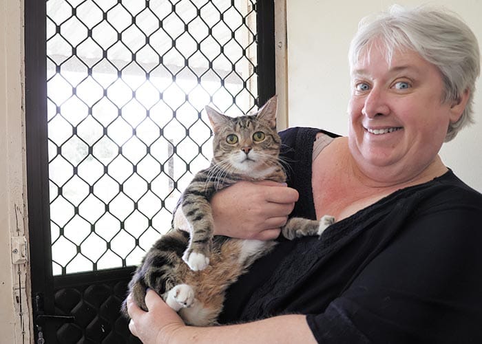 Elderly cats given a new lease of life post image