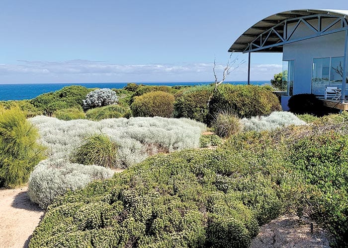 Coastal gardening workshops on YP post image