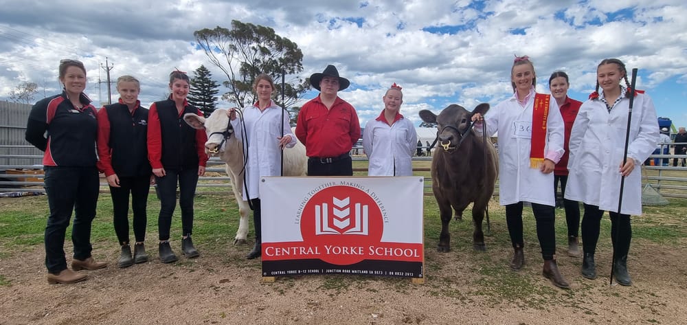 Local comp leads the way post image