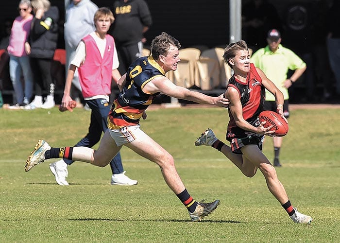 Dominant Crows bully Bloods post image