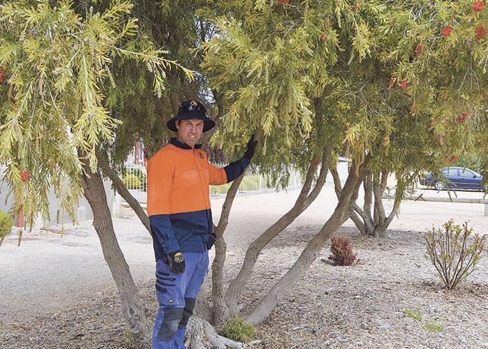 Turning over a new leaf with policy post image