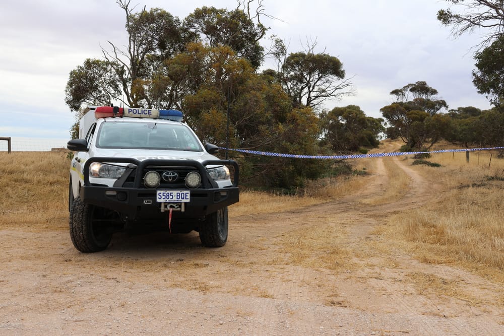 POLICE: drink-driver caught at Stansbury post image