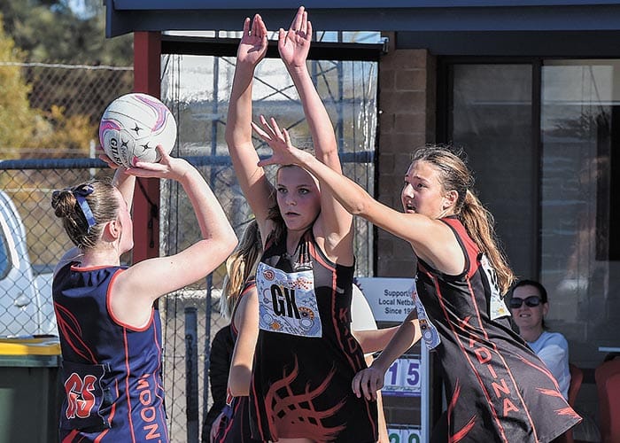 YPNA... Bring on the finals post image