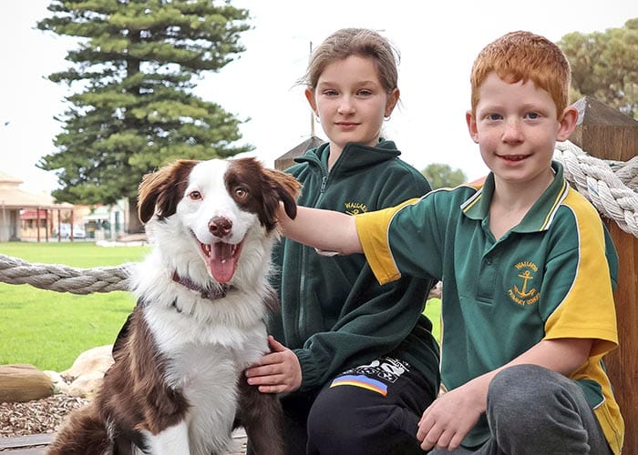 Hugo rounds up hearts post image