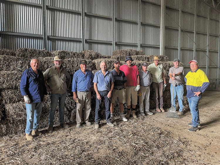 Rotary’s straw bales hit the market post image