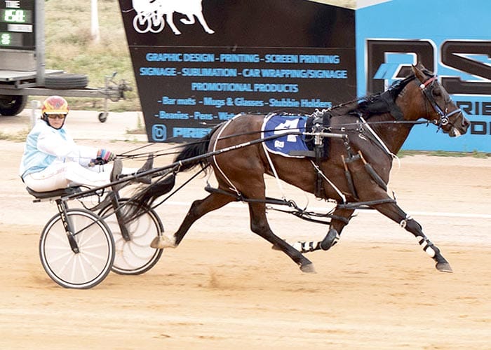 YP harness racing news post image