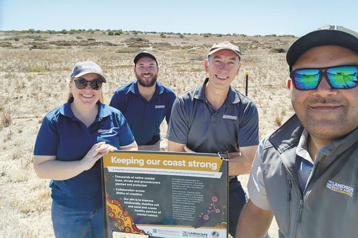 Native plants creating coastal resilience post image