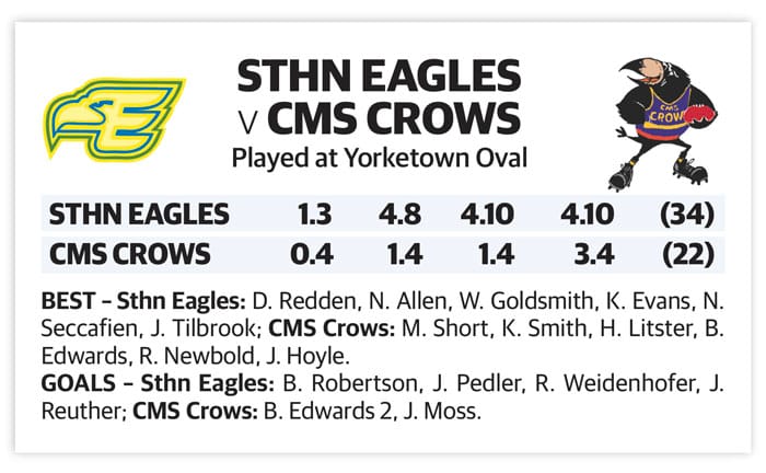YPFL: Eagles upset the ladder leaders to vault into finals post image