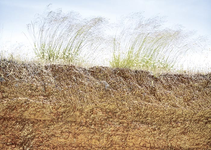 Digital ag innovations map soil constraints post image