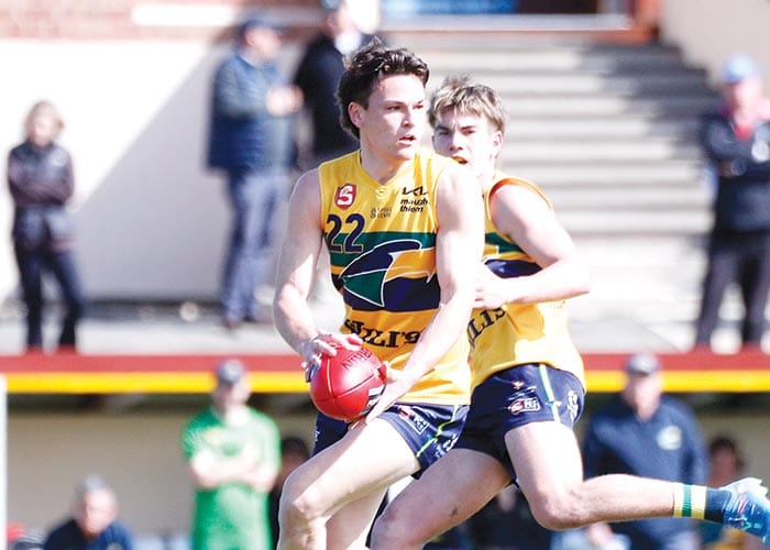 Hasting’s top season post image