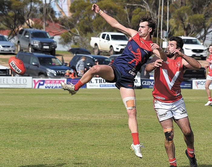 Demons diminish Roosters post image