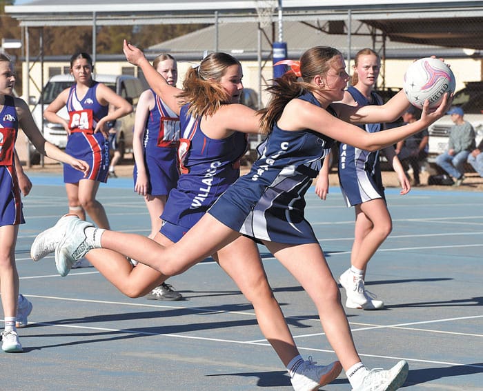 YPNA scores and reports post image