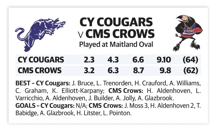 YPFL: Cougars gutsy winners post image