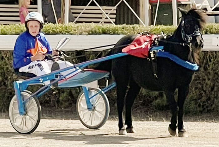 YP Harness Racing Club news post image