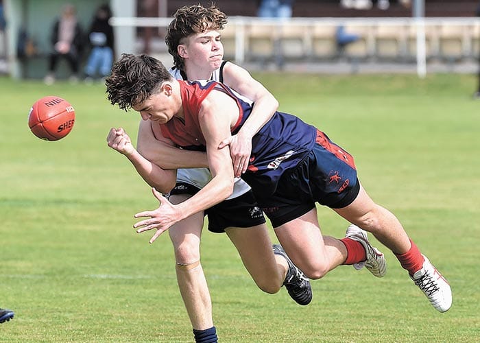 Cougars claw Demons post image