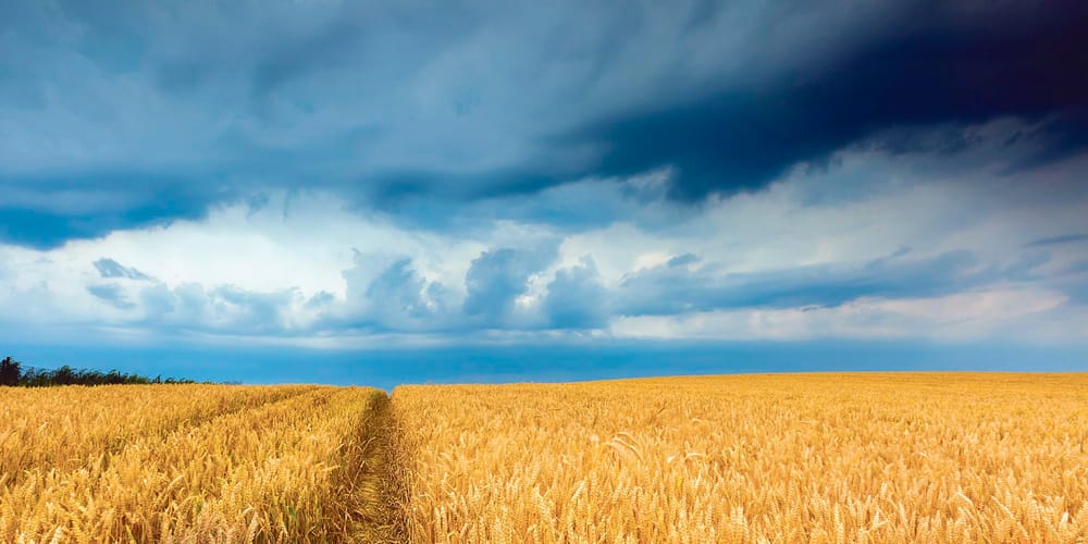 Market and the La Nina strengthen ag outlook post image