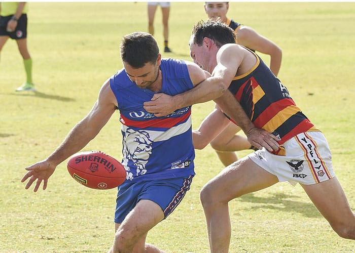 YPFL: Young Dogs show bite, but Crows unfazed post image