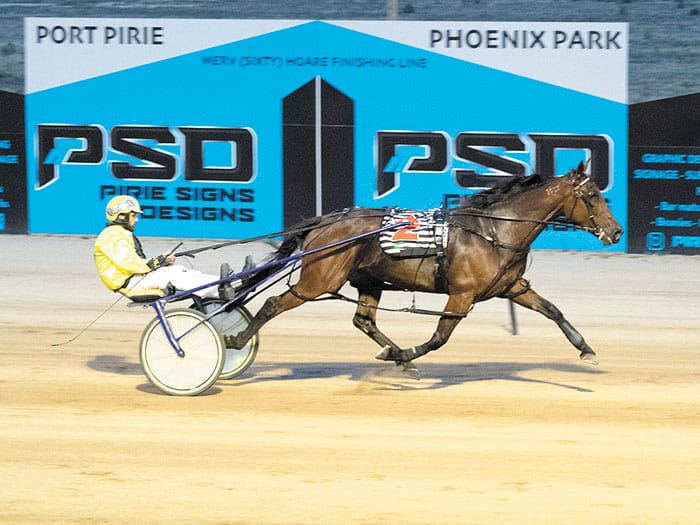 YP harness racing news post image