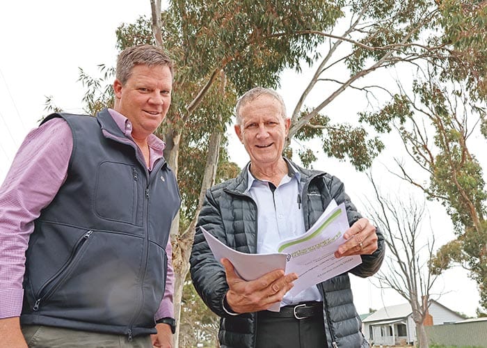 Tree change for Moonta entrance post image
