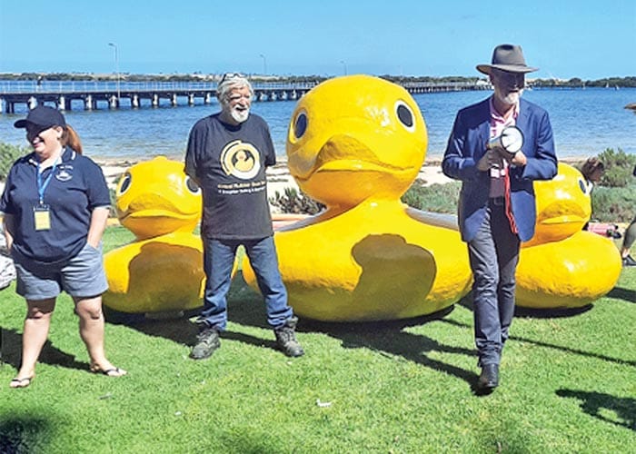 Rubber ducks race into the bay post image