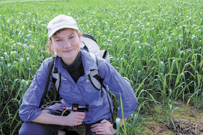 Simple method to detect low lime post image