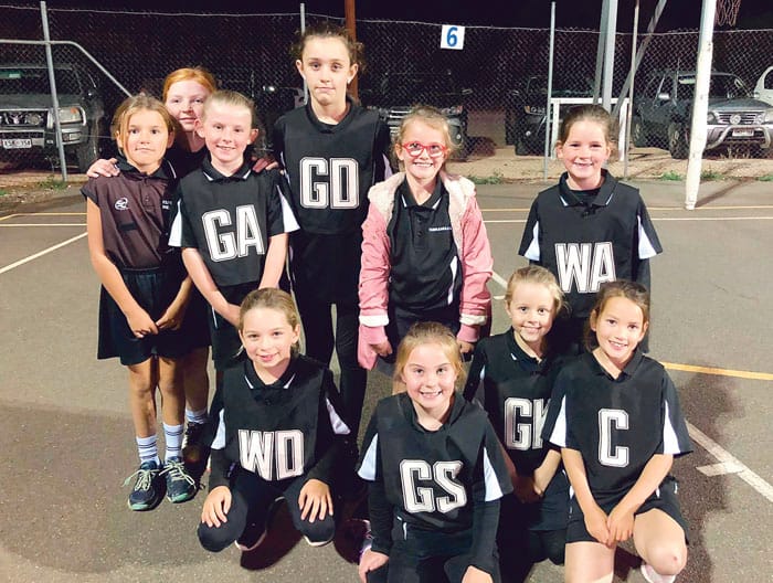 Netball: Southern Yorke Peninsula post image
