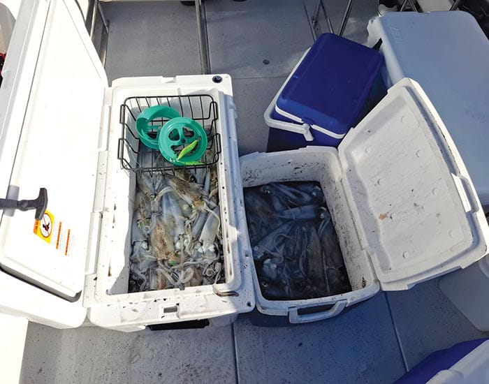 Fishers busted smuggling squid at Black Point post image