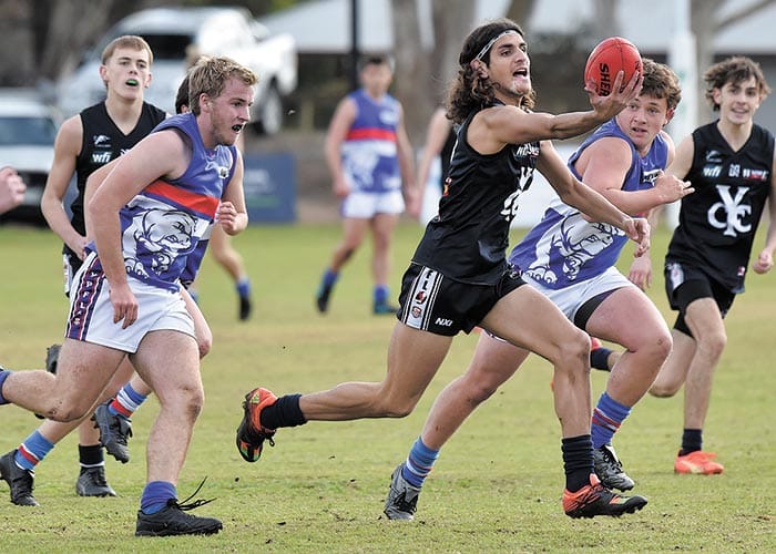 Cougars a class above post image