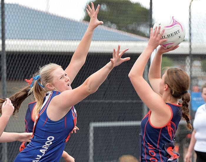 YPNA scores and reports post image